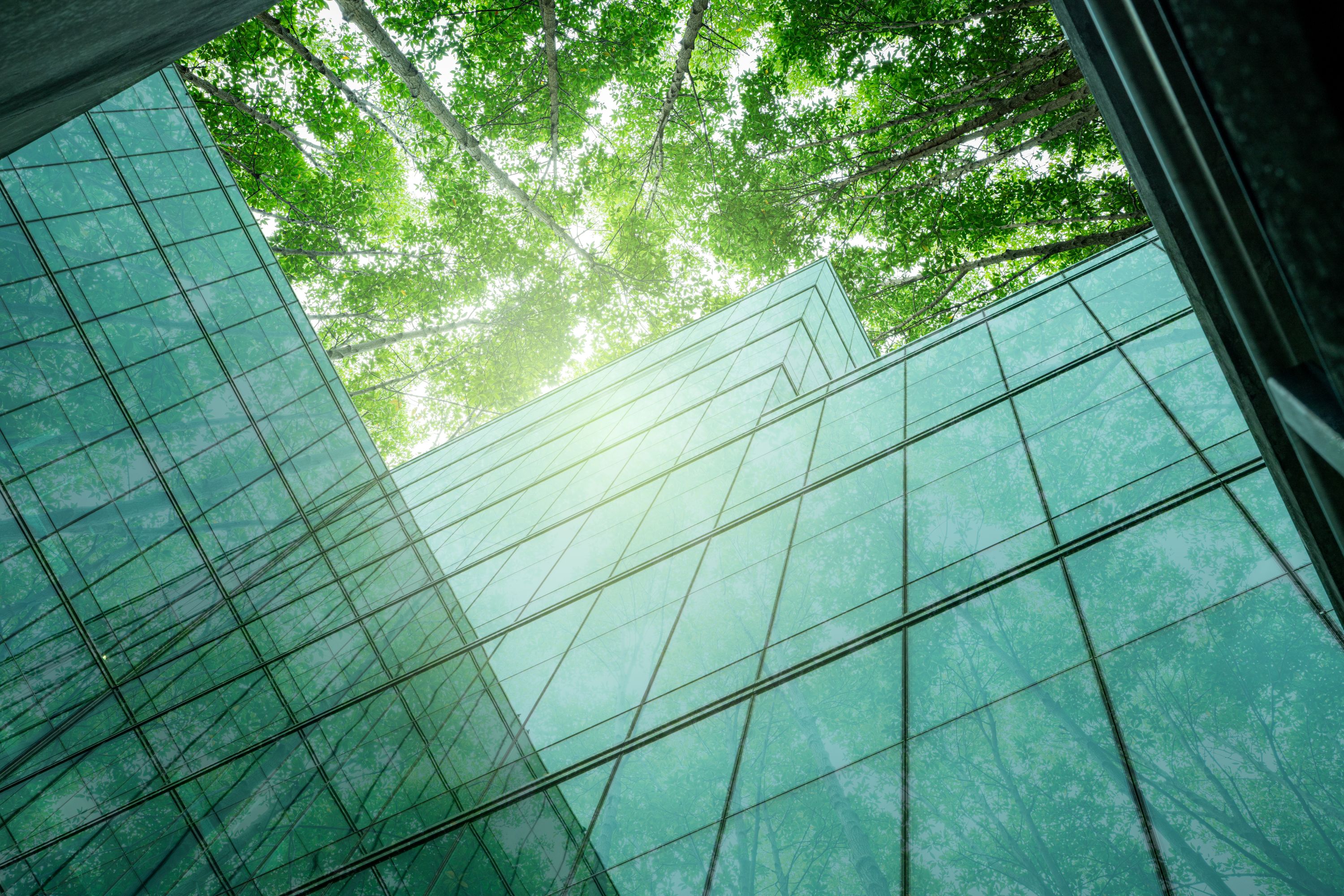 exterior of skyscraper with trees